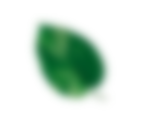 hoja-detalle-producto-3.png