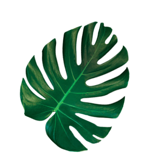 hoja-detalle-producto.png